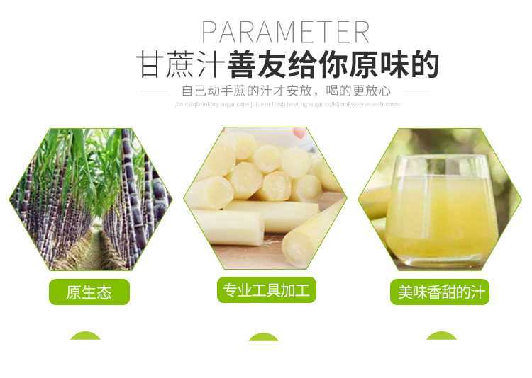 台式甘蔗榨汁机